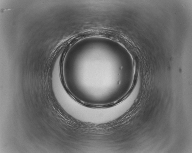 X0000060761206200511141222