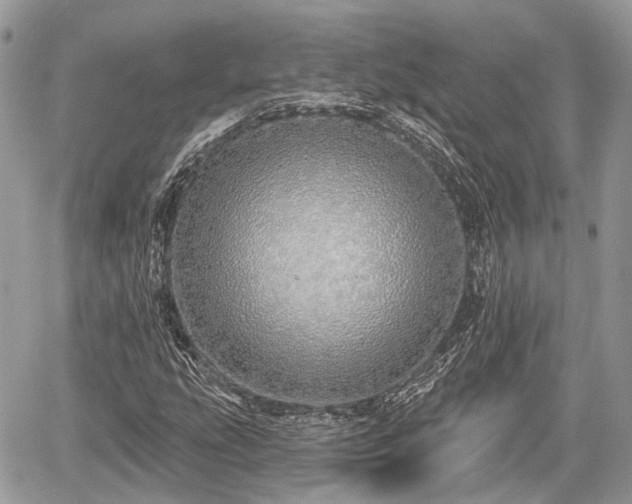 X0000060761207200511141222