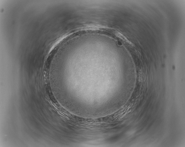 X0000060761208200511141222