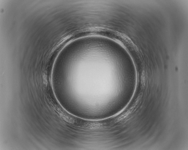 X0000060761209200511141222