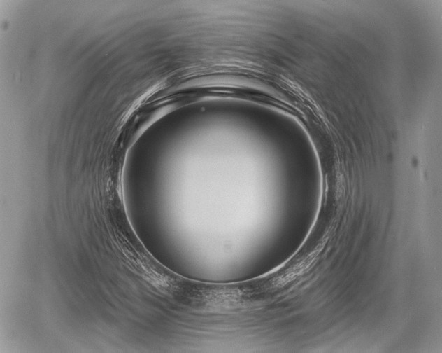 X0000060761210200511141222