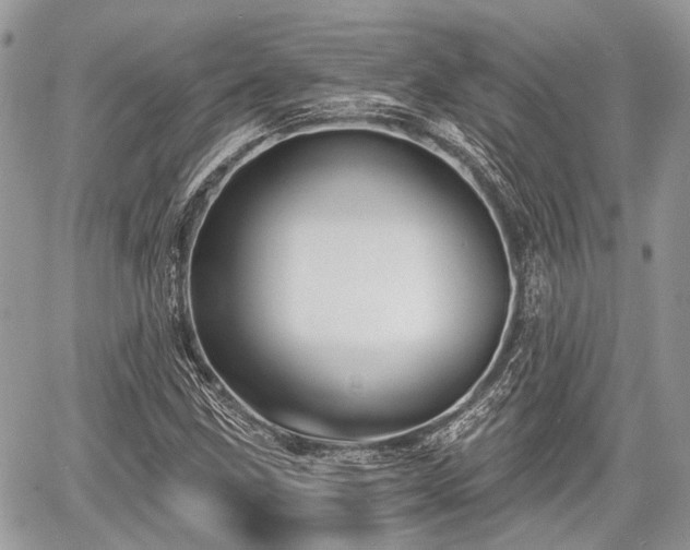 X0000060761211200511141222