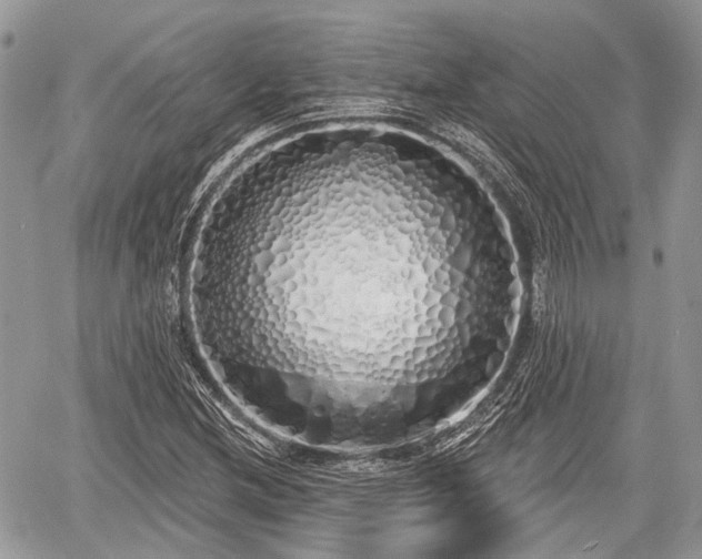 X0000060761212200511141222