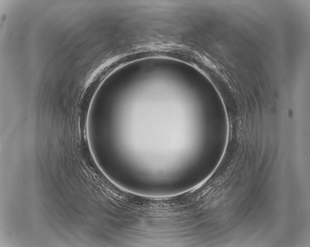 X0000060761214200511141222