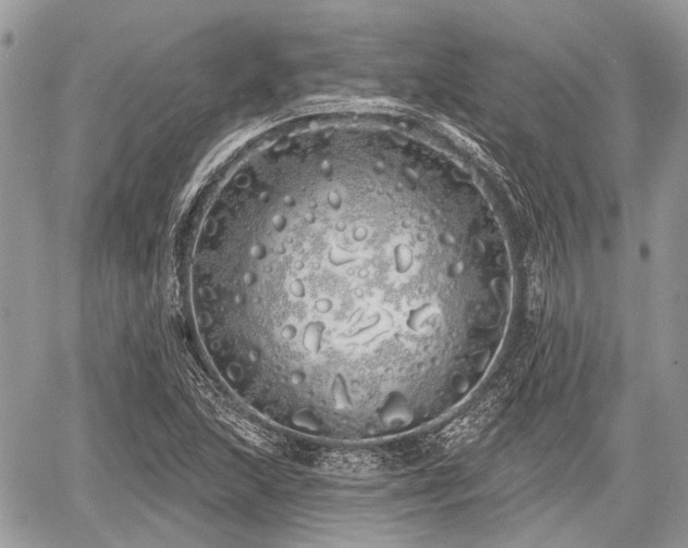 X0000060761215200511141222