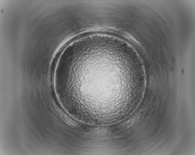 X0000060761216200511141222