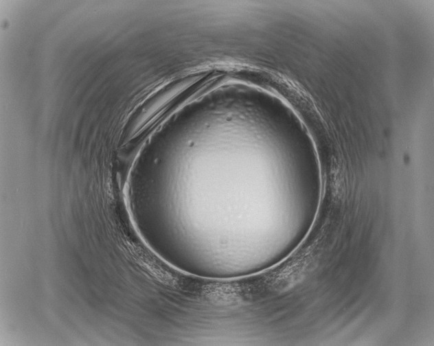 X0000060761217200511141222