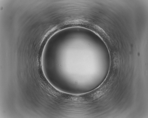 X0000060761218200511141222