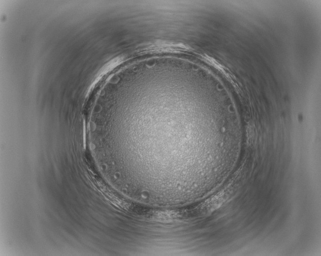 X0000060761219200511141222