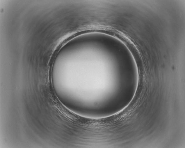 X0000060761222200511141222