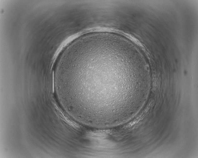 X0000060761223200511141222