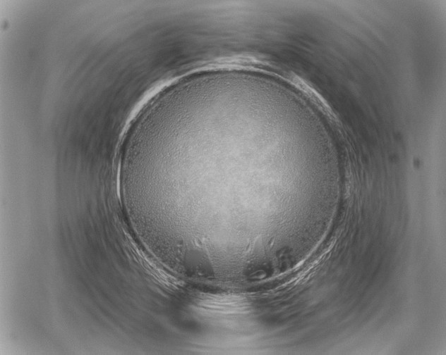 X0000060761224200511141222