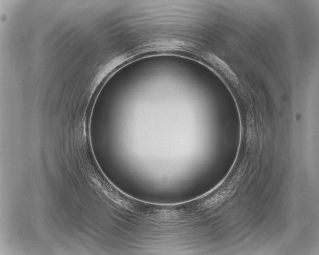 X0000060761226200511141222