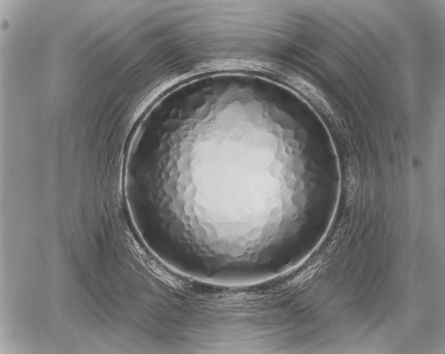 X0000060761228200511141222