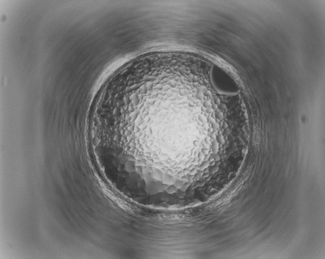 X0000060761231200511141222