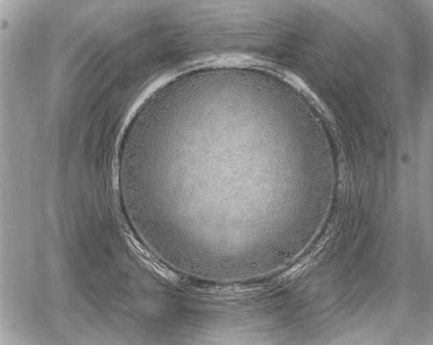 X0000060761232200511141222