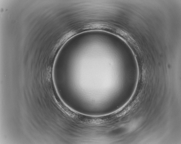 X0000060761233200511141222