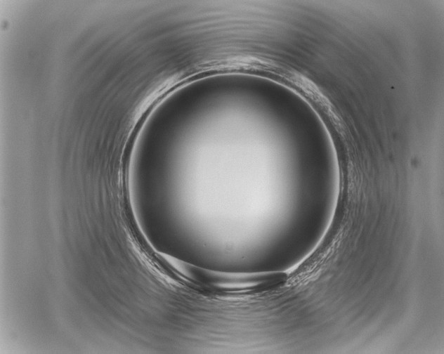 X0000060761234200511141222