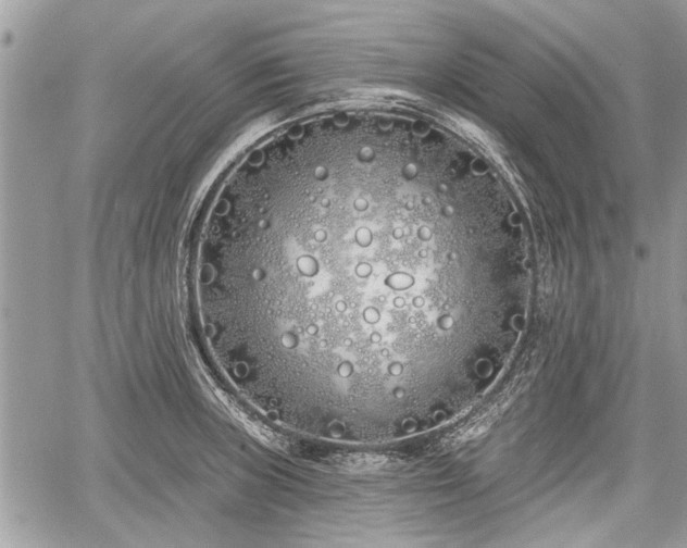 X0000060761235200511141222