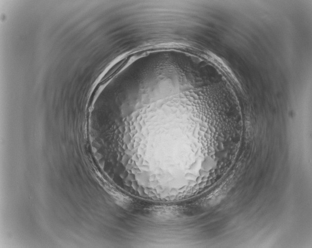 X0000060761236200511141222