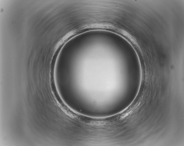 X0000060761237200511141222