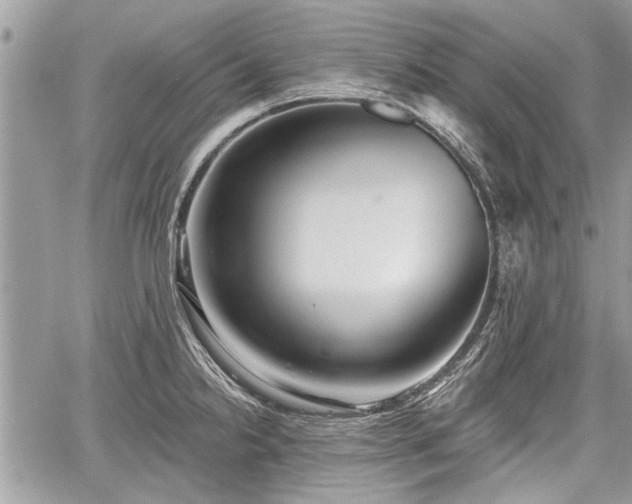 X0000060761238200511141223