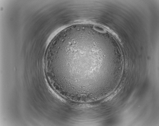 X0000060761239200511141223