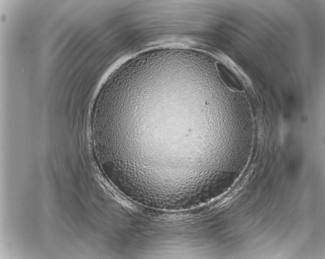 X0000060761240200511141223