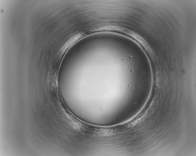 X0000060761241200511141223