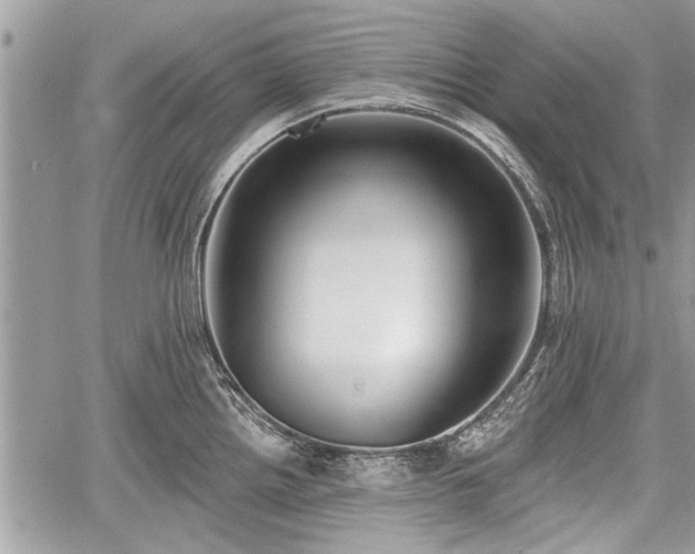 X0000060761242200511141223