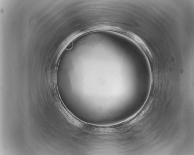 X0000060761244200511141223