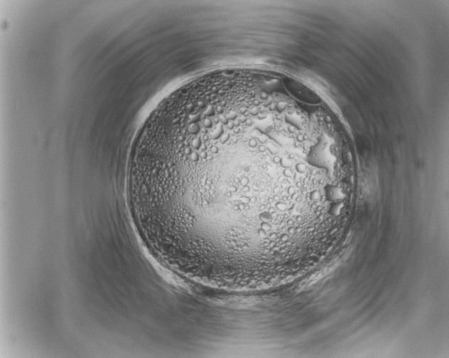 X0000060761245200511141223