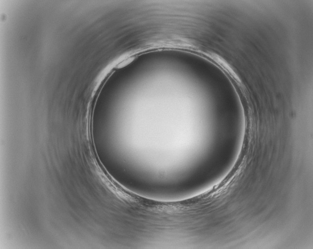 X0000060761246200511141223