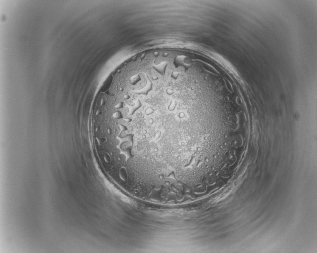 X0000060761247200511141223