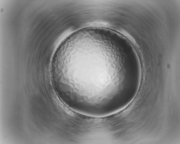 X0000060761248200511141223