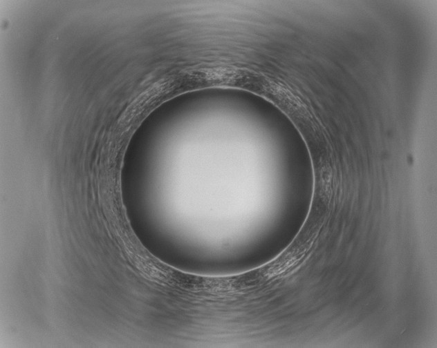 X0000060761249200511141222