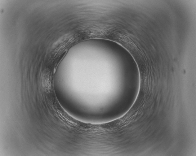 X0000060761250200511141222