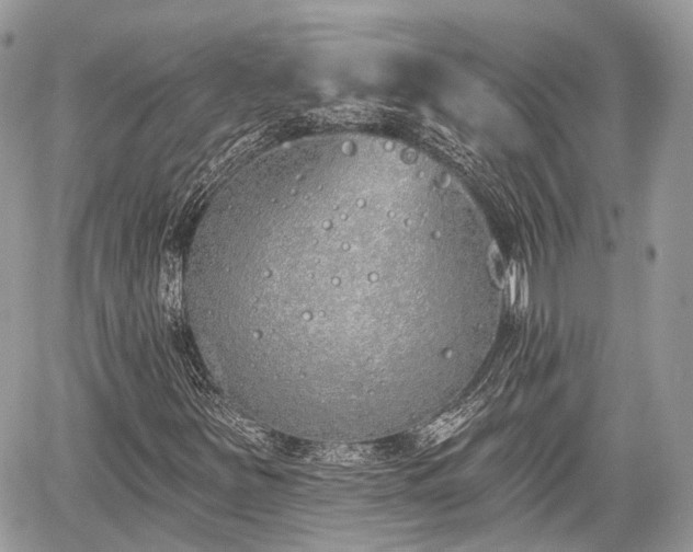 X0000060761251200511141222