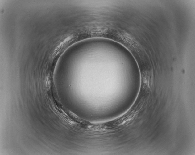 X0000060761252200511141222