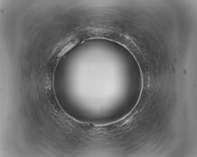 X0000060761253200511141222