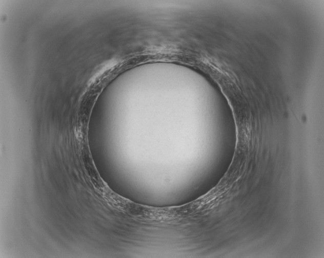 X0000060761254200511141222