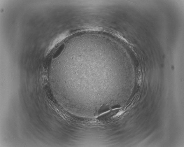 X0000060761255200511141222