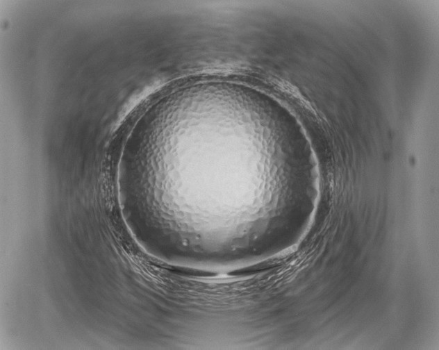 X0000060761256200511141222