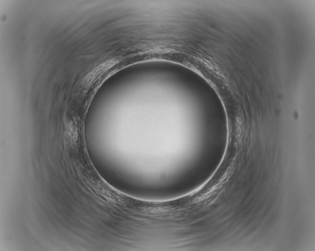 X0000060761257200511141222