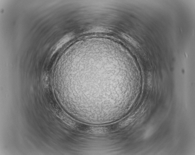 X0000060761258200511141222