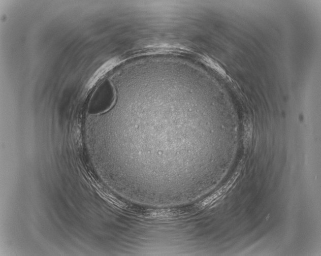 X0000060761259200511141222