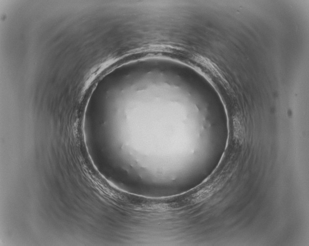 X0000060761260200511141222