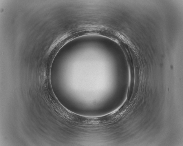 X0000060761261200511141222