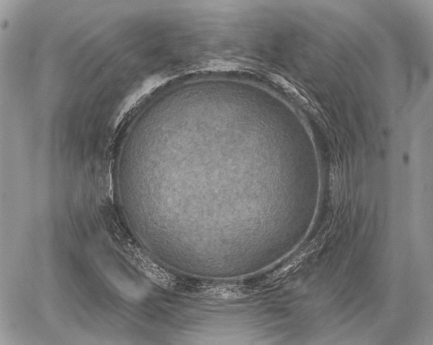 X0000060761262200511141222