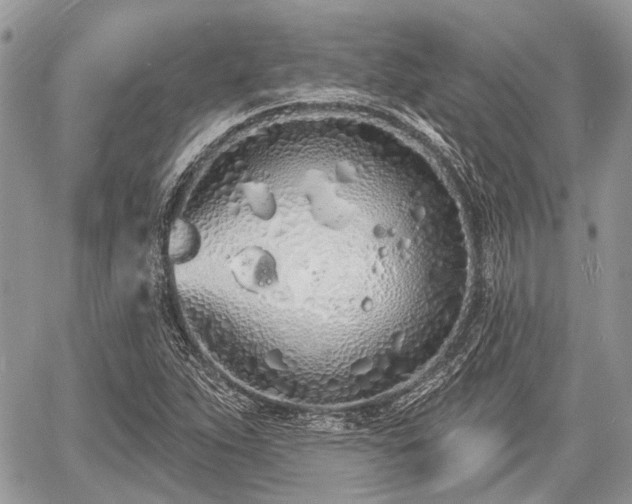 X0000060761263200511141222